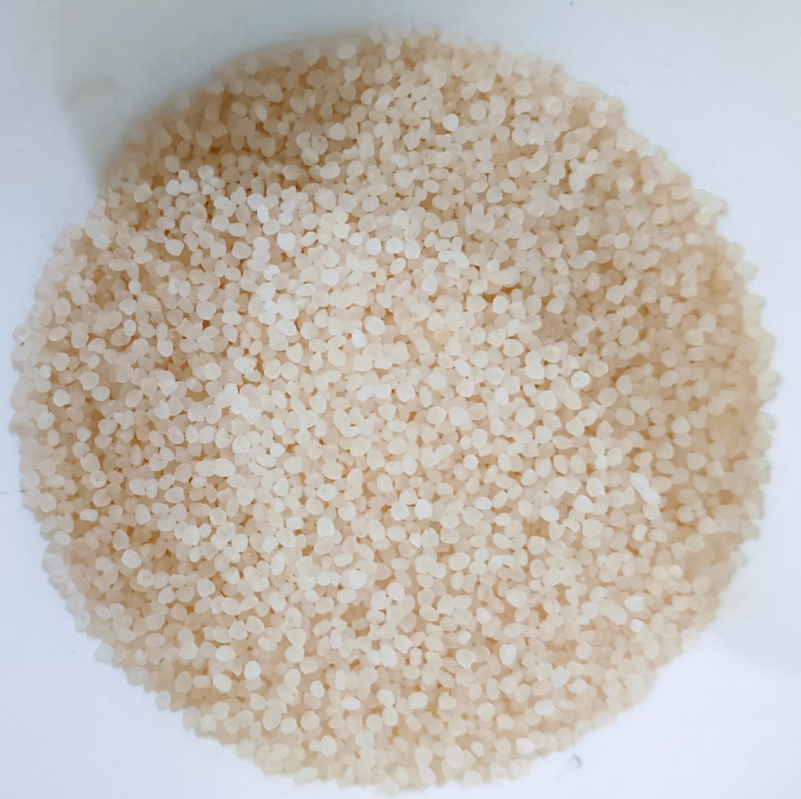 लिटिल मिलेट (पॉलिश्ड)/ “कुटकी पॉलिश्ड” (कुटकी,मोरैयो,शावन/ सामा/ समाई/ सवा,हलवी,वरी)